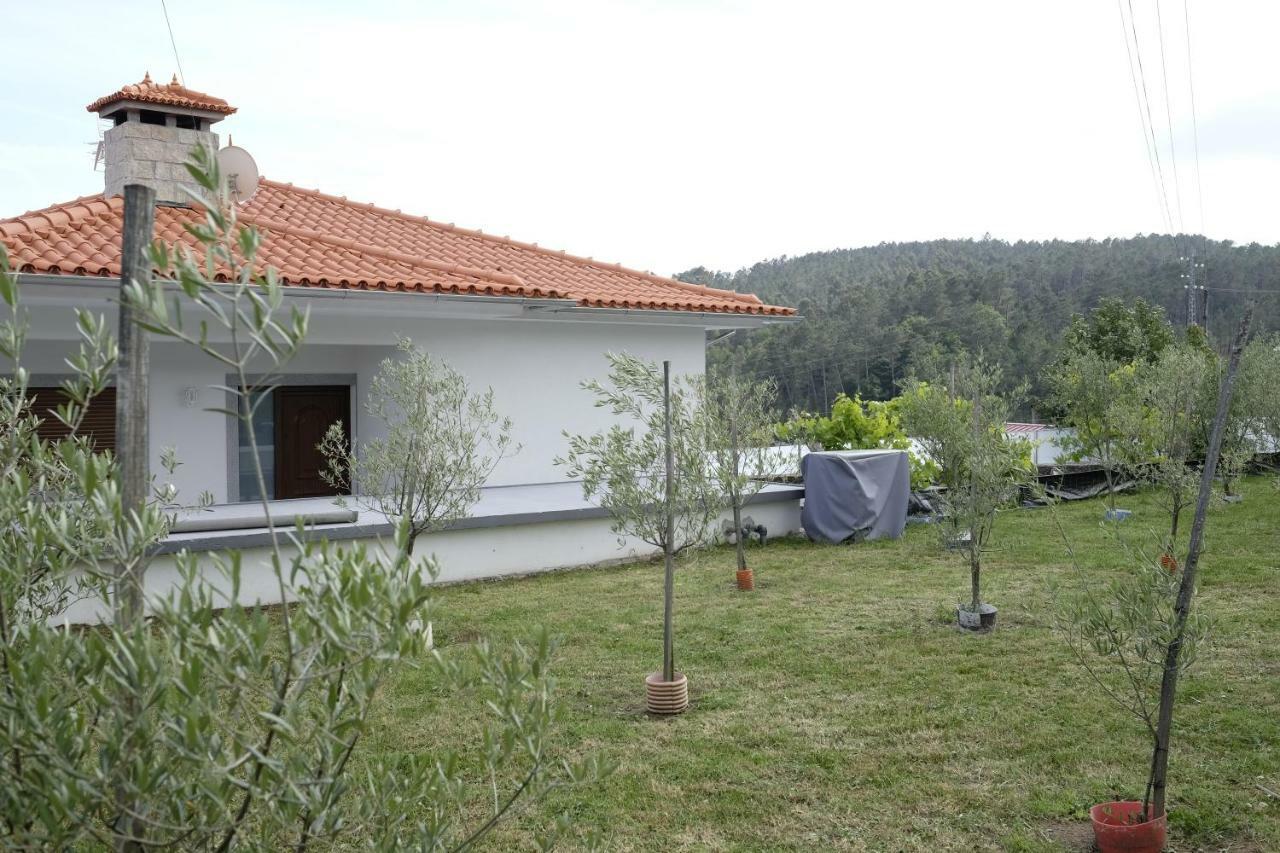 Casa Do Aido De Cima Villa Vale de Cambra Eksteriør bilde